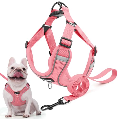 Hundegeschirr für Kleine Mittelgroße Hunde, Anti Zug Reflektierend Welpengeschirr mit Leine, Verstellbar Air Mesh Atmungsaktiv Brustgeschirr für Hunde Gassigehen, Training und Reisen (Pink, XS) von AKOFIC