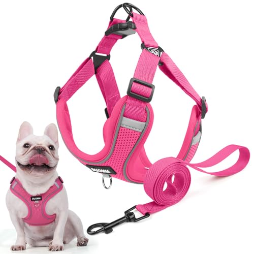 Hundegeschirr für Kleine Mittelgroße Hunde, Anti Zug Reflektierend Welpengeschirr mit Leine, Verstellbar Air Mesh Atmungsaktiv Brustgeschirr für Hunde Gassigehen, Training und Reisen (Rosenrot, S) von AKOFIC