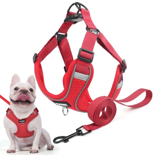 Hundegeschirr für Kleine Mittelgroße Hunde, Anti Zug Reflektierend Welpengeschirr mit Leine, Verstellbar Air Mesh Atmungsaktiv Brustgeschirr für Hunde Gassigehen, Training und Reisen (Rot, L) von AKOFIC