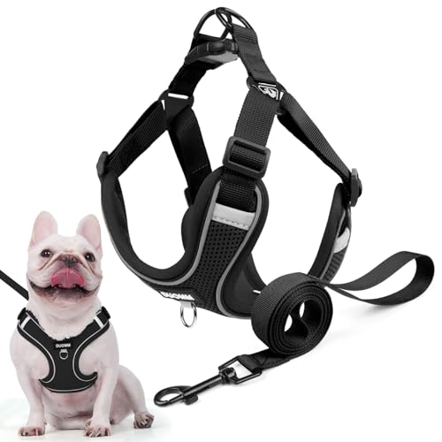 Hundegeschirr für Kleine Mittelgroße Hunde, Anti Zug Reflektierend Welpengeschirr mit Leine, Verstellbar Air Mesh Atmungsaktiv Brustgeschirr für Hunde Gassigehen, Training und Reisen (Schwarz, S) von AKOFIC