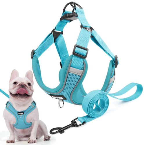 Hundegeschirr für Kleine Mittelgroße Hunde, Anti Zug Reflektierend Welpengeschirr mit Leine, Verstellbar Air Mesh Atmungsaktiv Brustgeschirr für Hunde Gassigehen, Training und Reisen (Seeblau, M) von AKOFIC