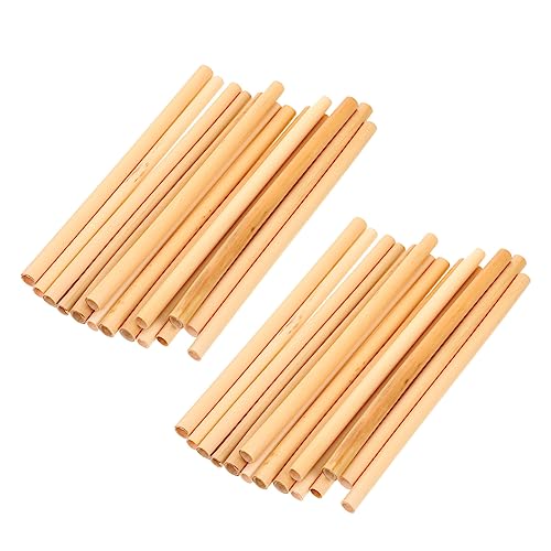 AKOOSY 100 Stück Natürliche Nisthülsen Reed für Wildbienen Stabile Mauerbienenröhrchen Umweltfreundliche Nistrohre für Bienenhäuser im Garten Langlebig und Sicher AKOOSY 100 Stück Natürliche Nisthülsen Reed für Wildbienen Stabile Mauerbienenröhrchen Umweltfreundliche Nistrohre für Bienenhäuser im Garten Langlebig und Sicher von AKOOSY