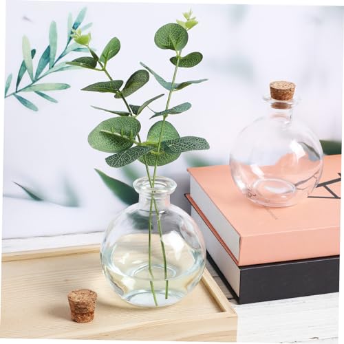 AKOOSY 2 Stück Terrarium Teilig mit Korkverschluss Rundes Hydroponik Pflanzengefäß Stabiles Transparentes mit Flachem Boden für Moos und Sukkulenten Langlebig und Multifunktional von AKOOSY