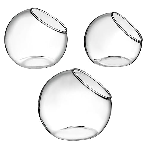 AKOOSY 3 Stück Terrarium Pflanzflaschen für Wasserpflanzen Dekorative Landschaft Flaschen Transparentes Pflanzengefäß für Wohnzimmer Schlafzimmer Badezimmer AKOOSY 3 Stück Terrarium Pflanzflaschen für Wasserpflanzen Dekorative Landschaft Flaschen Transparentes Pflanzengefäß für Wohnzimmer Schlafzimmer Badezimmer von AKOOSY