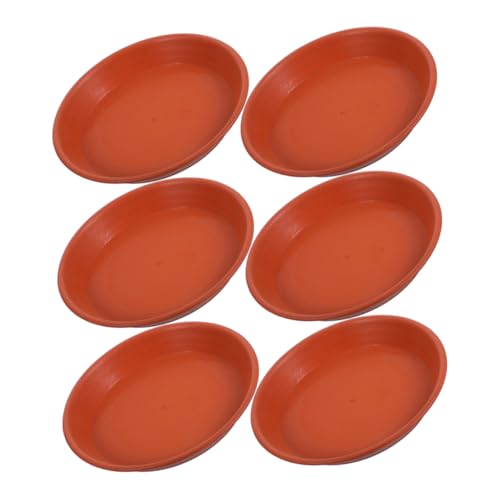 AKOOSY 6 Stück Pflanzentöpfe Untersetzer Runde Kunststoff Tropfschalen für Blumentöpfe Terracotta Design als Basis für Zimmerpflanzen Schützt Möbel vor Wasserschäden AKOOSY 6 Stück Pflanzentöpfe Untersetzer Runde Kunststoff Tropfschalen für Blumentöpfe Terracotta Design als Basis für Zimmerpflanzen Schützt Möbel vor Wasserschäden von AKOOSY