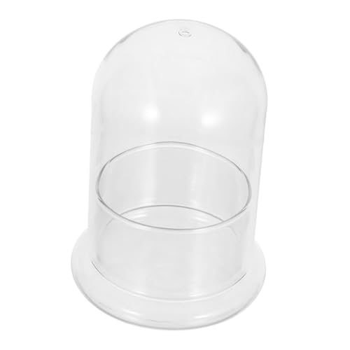 AKOOSY Glas-terrariumflasche Transparent mit Deckel Hydroponisches für Wasservermehrung und Indoor-Garten DIY Kleine Landschaft von AKOOSY
