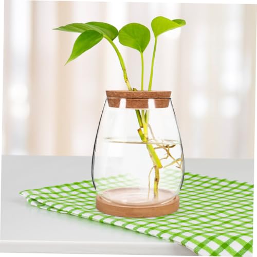 AKOOSY Hydroponische Terrarium Glasflasche mit Deckel Kleines Ökologisches Pflanzgefäß für DIY Flaschengarten Transparentes Dekorationsglas für Zimmer Büro Balkon und Garten von AKOOSY