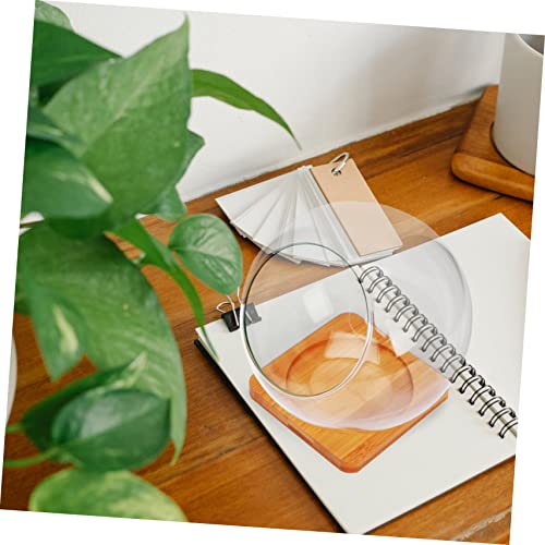 AKOOSY Micro Landscape Glasvase mit Schrägem Bambusunterlage Dekorativer Flaschenblumentopf für Sukkulenten und Wasserpflanzen Vielseitiges DIY Terrarium für Zuhause und Büro von AKOOSY