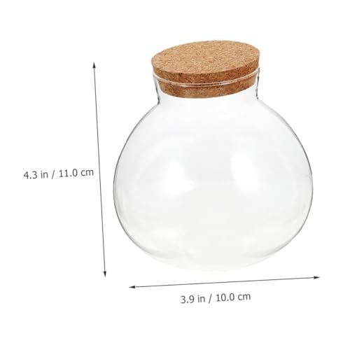 AKOOSY Micro Landschaft Ökologische Flasche mit Korken Glas Terrarium Behälter für DIY Sukkulenten Desktop Mikro Landschaft Pflanzflasche Transparent Dekorativ und Platzsparend AKOOSY Micro Landschaft Ökologische Flasche mit Korken Glas Terrarium Behälter für DIY Sukkulenten Desktop Mikro Landschaft Pflanzflasche Transparent Dekorativ und Platzsparend von AKOOSY