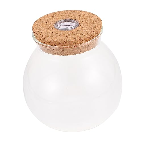 AKOOSY Ökologische Flasche mit LED Licht Kreative DIY Mikrolandschaftsflasche für Pflanzen Terrarium Dekoration für und Außenbereiche AKOOSY Ökologische Flasche mit LED Licht Kreative DIY Mikrolandschaftsflasche für Pflanzen Terrarium Dekoration für und Außenbereiche von AKOOSY