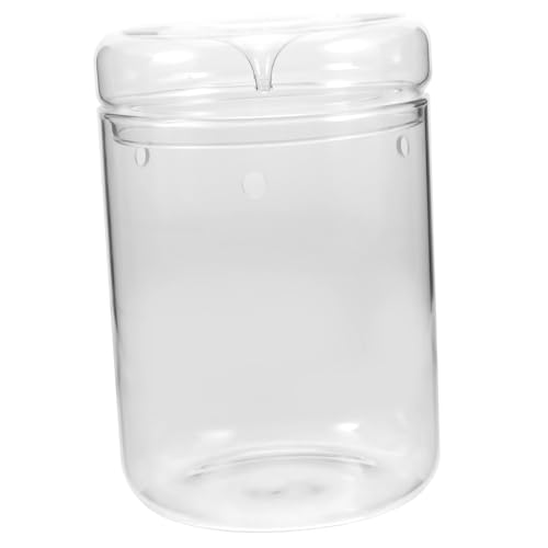 AKOOSY Pflanzenterrarium Transparentes Micro Landschaftsflasche DIY Pflanzenhalter für Büro Wohnzimmer Langlebiges Leicht zu Reinigen Vielseitig als Deko und Aufbewahrung AKOOSY Pflanzenterrarium Transparentes Micro Landschaftsflasche DIY Pflanzenhalter für Büro Wohnzimmer Langlebiges Leicht zu Reinigen Vielseitig als Deko und Aufbewahrung von AKOOSY