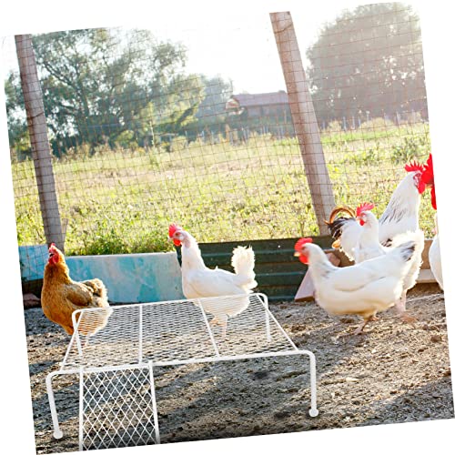 AKOOSY Rutin Hühner Plattform Stabilem mit Kletterleiter Langlebiges Kaninchen und Hamster Kletterregal für Käfig Sicherer und Unterhaltsamer Haustier Kletterspaß AKOOSY Rutin Hühner Plattform Stabilem mit Kletterleiter Langlebiges Kaninchen und Hamster Kletterregal für Käfig Sicherer und Unterhaltsamer Haustier Kletterspaß von AKOOSY