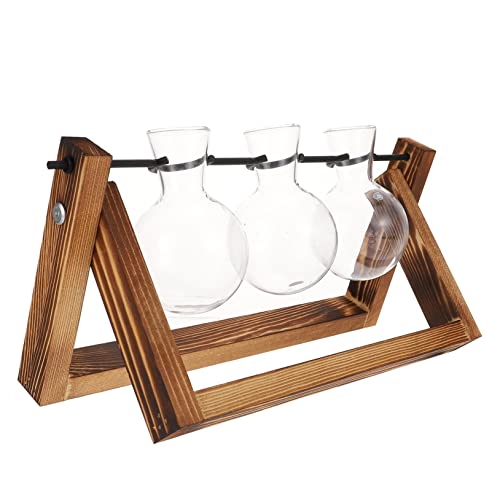 AKOOSY Terrarium mit Holzständer Transparente Hydrokultur Pflanzenvasen für Zwiebelvermehrung Dekorative Desktop Pflanzgefäße für und Büro Langlebig und Stilvoll von AKOOSY