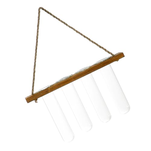 AKOOSY Wandmontierte Hydroponik Vase Für Pflanzen Hängende Glasvase Hydroponisches Pflanzgefäß Dekoration Für Haus Und Garten Originelles Design Für Blumen Und Pflanzen AKOOSY Wandmontierte Hydroponik Vase Für Pflanzen Hängende Glasvase Hydroponisches Pflanzgefäß Dekoration Für Haus Und Garten Originelles Design Für Blumen Und Pflanzen von AKOOSY