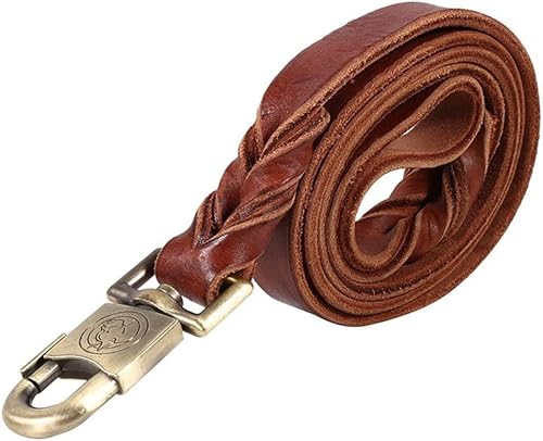 Hundeleine kleine Hunde leicht Hundekette Leine Leder Große Hundeleine Pet Walking Training führt Halsband (Size : 1.7m) von AKSHVA