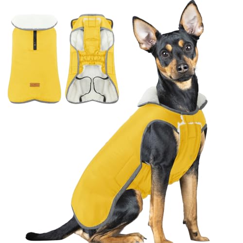 Hund Fleece Hundemantel mit Reißverschluss Hunderegenmantel Wasserdicht Hundemantel Grosse Hunde Kaltes Wetter Winter Warme Jacke für Kleine Mittlere Große Hunde Yellow M Hund Fleece Hundemantel mit Reißverschluss Hunderegenmantel Wasserdicht Hundemantel Grosse Hunde Kaltes Wetter Winter Warme Jacke für Kleine Mittlere Große Hunde Yellow M von ALAGIRLS
