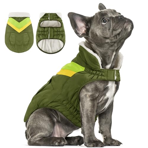 Hundejacke Hundemantel Winter Warme Hundekleidung Hoher Kragen Hundemantel mit Klettverschluss Welpenmantel ALADC1104-ArmyGreen-XS Hundejacke Hundemantel Winter Warme Hundekleidung Hoher Kragen Hundemantel mit Klettverschluss Welpenmantel ALADC1104-ArmyGreen-XS von ALAGIRLS