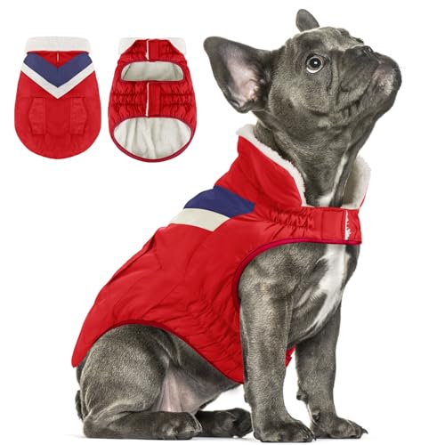 Hundejacke Hundemantel Winter Warme Hundekleidung Hoher Kragen Hundemantel mit Klettverschluss Welpenmantel ALADC1104-Red-XS von ALAGIRLS