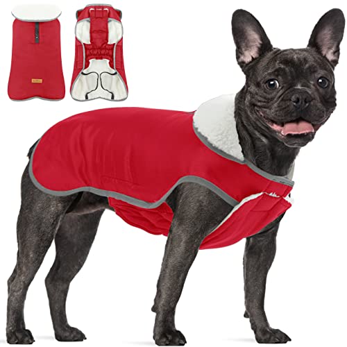 Winter Hundemantel mit Bauchschutz, Reflektierende Warme wasserdichte Hundejacke, Winddicht Hundekleidung Outfit Weste für Mittlere Große Hunde, Red XL von ALAGIRLS