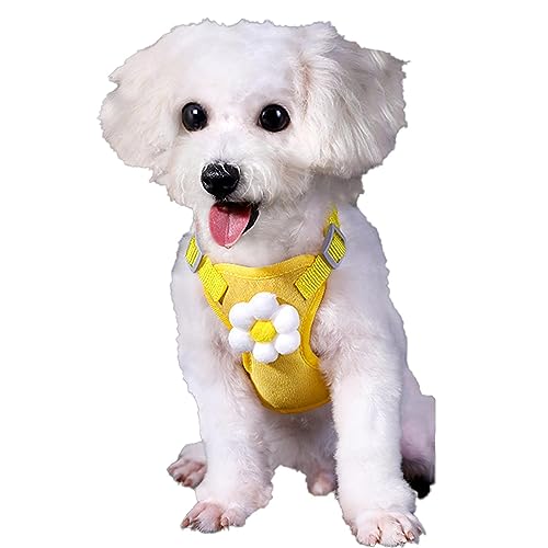 Easy Walk Hundegeschirr – Welpengeschirr für kleine Hunde, verstellbares, nicht erstickendes Hundegeschirr, Allwetter-Mesh-Weste für kleine, mittelgroße Hunde, Haustierbedarf von KOT-au von ALASSE