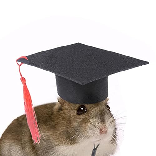 Pet Dr. Hat | Hunde und Hamster Bachelor Kostüm s - Hamster Graduation Kostüm mit roter Quaste, Haustier Bachelor für Hunde Katzen Hamster KOT-au von ALASSE