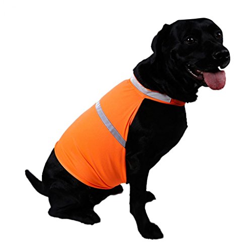 Alcyoneus Verstellbare PET reflektierende Vest Dog Hunting Safety Jacket hohe Sichtbarkeit Weste Size L (Fluorescent Orange) von Alcyoneus
