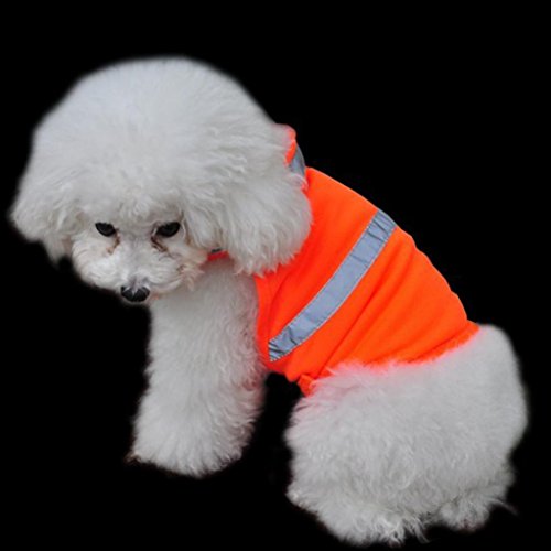 Alcyoneus Verstellbare PET reflektierende Vest Dog Hunting Safety Jacket hohe Sichtbarkeit Weste Size S (Fluorescent Orange) von Alcyoneus