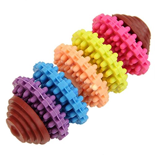 alkyoneus Pets Hunde Puppy Colorful Gummi Dental Zahnen Zahnfleisch kauen Spielzeug alkyoneus Pets Hunde Puppy Colorful Gummi Dental Zahnen Zahnfleisch kauen Spielzeug von ALCYONEUS