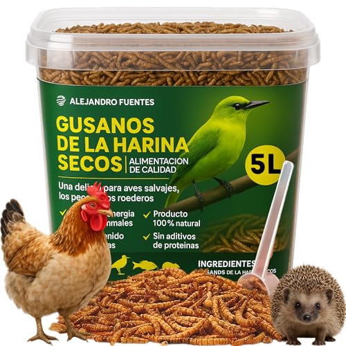 AF® Mehlwürmer, 715 g, Mehlwürmer für Hühner, getrocknete Mehlwürmer, 5 l, Würmer für Vögel, 100 % natürlich, Insekten für Vögel, Futter für Hirsche von ALEJANDRO FUENTES