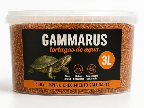 AF Gammarus Auswahl 3 l, 300 g Gammarus für Wasserschildkröten, Garnelen Wasserschildkröten, Proteinsnack für Ihre Wasserschildkröte mit 100 % natürlichen Inhaltsstoffen ohne Konservierungsstoffe oder AF Gammarus Auswahl 3 l, 300 g Gammarus für Wasserschildkröten, Garnelen Wasserschildkröten, Proteinsnack für Ihre Wasserschildkröte mit 100 % natürlichen Inhaltsstoffen ohne Konservierungsstoffe oder von ALEJANDRO FUENTES