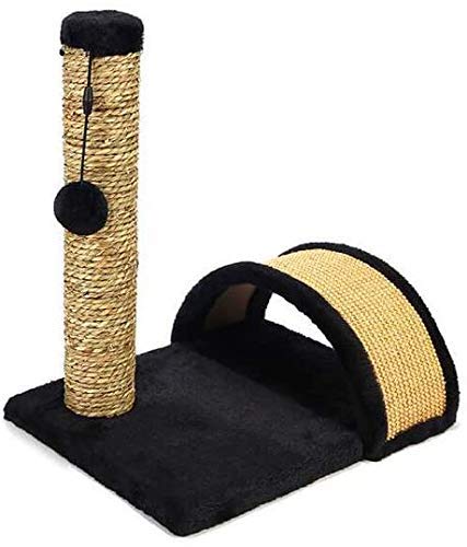 ALEjon Katzenklettergerüst, Katzenkratzbaum, Katzensprungplattform, Katzenspielzeug Plus Schleifklauenbrett, Haustiernest,Schwarz ALEjon Katzenklettergerüst, Katzenkratzbaum, Katzensprungplattform, Katzenspielzeug Plus Schleifklauenbrett, Haustiernest,Schwarz von ALEjon