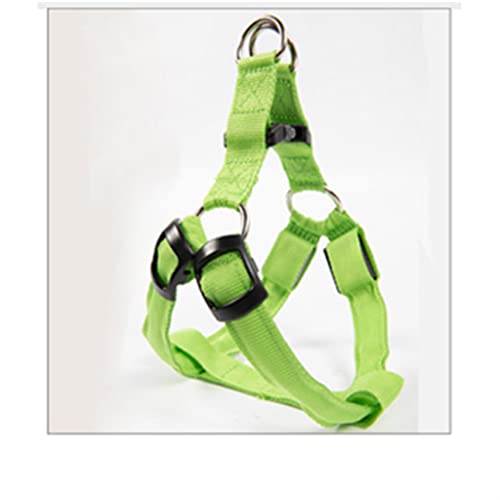 ALEjon Nylon-LED-Sicherheitsgurt für Hunde: Blinkgeschirr mit Seil, Halsband und Weste – Heimtierbedarf (M, 38–46 cm) von ALEjon