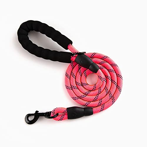 ALEjon Robuste, runde Hundeleine aus Seil für das Training im Freien – Haustierbedarf für die Verwendung als Halsband (Größe: 1,2 x 150 cm) von ALEjon