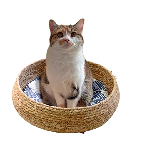 Handgefertigtes gemütliches Haustierbett für Katzen und Hunde – luxuriöses Ganzjahresnest für ultimativen Komfort (große Größe) von ALEjon