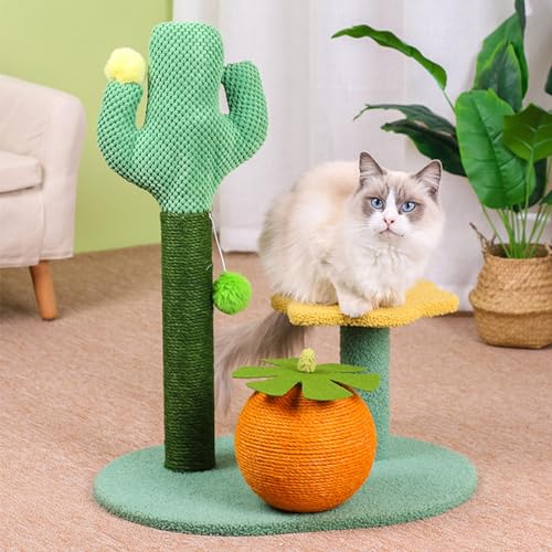 Kaktus-Katzenkratzbaum – Interaktiver 70 cm großer Kratzbaum mit baumelndem Spielzeug und Plüsch-Sisal-Kratzstange für Kätzchen und Katzen im Innenbereich von ALEjon