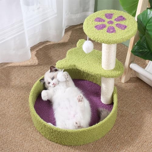 Kitten's Haven: Kompakter Kratzbaum mit Kratzbaum und gemütlicher Eigentumswohnung Kitten's Haven: Kompakter Kratzbaum mit Kratzbaum und gemütlicher Eigentumswohnung von ALEjon