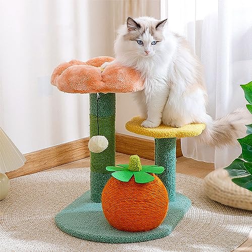 Mini Cat Haven: EIN stilvoller Rückzugsort für Hauskatzen und Kätzchen mit Einer Sitzstange, Einer gemütlichen Wohnung und einem Kratzbaum von ALEjon