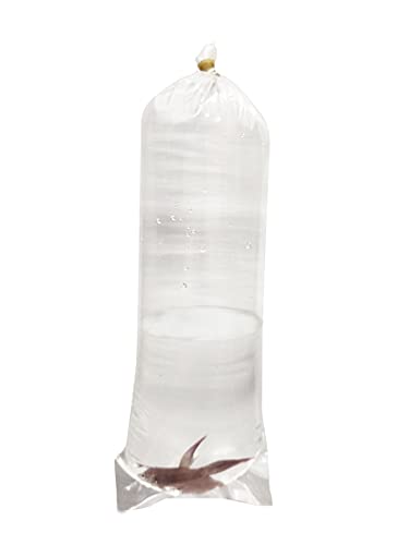 10,2 x 25,4 cm, ALFA Fishery Bags – Auslaufsicher, runder Boden, durchsichtige Kunststoff-Fischbeutel für Betta-Kleinfischtransport, 200 Gauge von ALFA FISHERY BAGS
