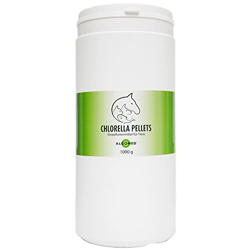 Chlorella Pellets aus Deutschland - Einzelfuttermittel für Tiere wie Hund, Katze, Pferd - Premium Chlorella Algen Trockenfutter - Chlorella Vulgaris roh vegan rein kontrolliert | Algomed 1000g / 1kg von ALGOMED