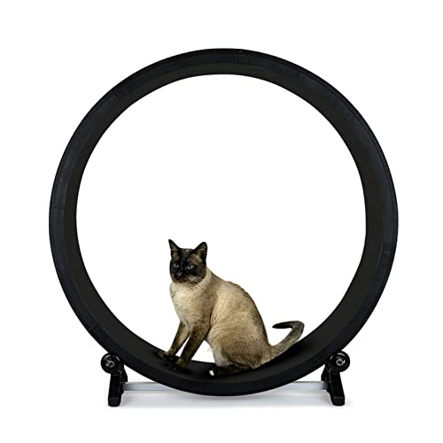 Katzenlaufrad, Durchmesser 128 cm Katzenlaufrad, extremer Katzenlaufrad-Übungsspieltrainer for Katzen von ALIGMA