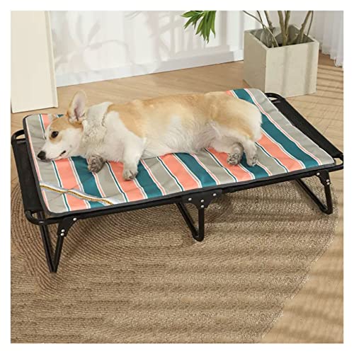 Erhöhtes Haustierbett, erhöhtes Hundebett, großes Hundesofa, erhöhtes Hundebett, Outdoor, erhöhtes Haustierbett, Kühlmatte, Hundebett, Hunde, Campingbett, waschbar, atmungsaktives Mesh & rutschfeste Erhöhtes Haustierbett, erhöhtes Hundebett, großes Hundesofa, erhöhtes Hundebett, Outdoor, erhöhtes Haustierbett, Kühlmatte, Hundebett, Hunde, Campingbett, waschbar, atmungsaktives Mesh & rutschfeste von ALKANI