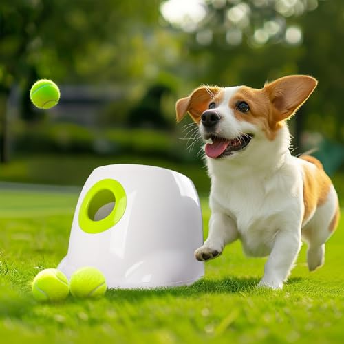 AFP Automatischer Ballwerfer für Hunde Hund Apportierball Werfer Interaktiver Welpe Haustier Ballwerfer für kleine & mittelgroße Hunde Indoor/Outdoor Hund Ball Werfer Maschine 3 Bälle enthalten (5,1 von ALL FOR PAWS