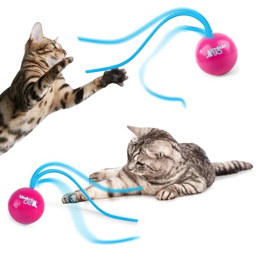 AFP Automatisches Silikon-Schwanz-Teaser-Spielzeug, 2-in-1, interaktives Katzenspielzeug, Trainingsspielzeug für Kätzchen, stimuliert den Jagdinstinkt der Katzen von ALL FOR PAWS