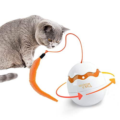 AFP Interaktives Katzenspielzeug, Dino-Eier-Spinner, 2-in-1, elektronische Bewegungsaktivierung, elektrischer Rollball, Spielzeug für Katzen/Kätzchen, 360 Grad von ALL FOR PAWS