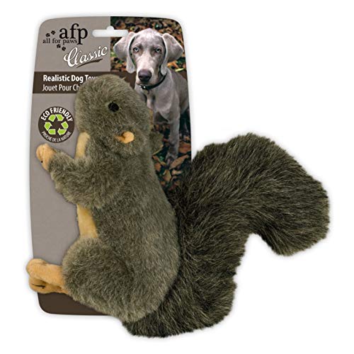 All for Paws 4001 Classic - Squirrel Small - Hundespielzeug kleines Eichhörnchen von ALL FOR PAWS