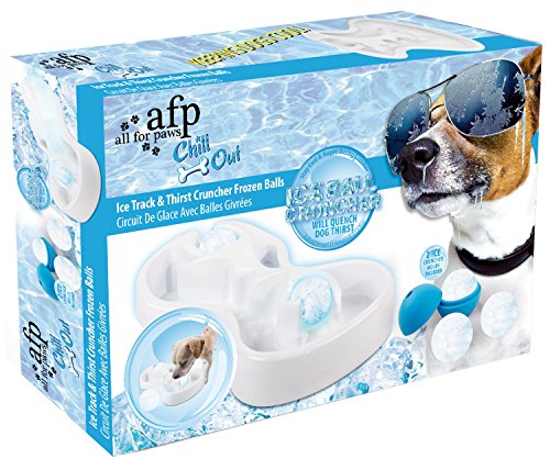 All for Paws 8211 Chill Out - Ice Track und Thirst Cruncher - Hundespielzeug Eislabyrinth von ALL FOR PAWS