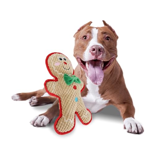 ALL FOR PAWS AFP MerryTough Buddy Lebkuchenmann Weihnachtshundspielzeug, Plüsch mit hartem Liner, Squeaker, Kauschutz, kleine Hunde von ALL FOR PAWS