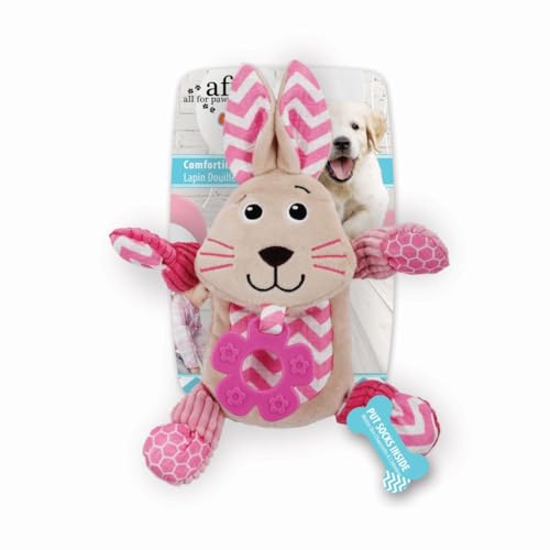 ALL FOR PAWS AFP4203 Hundespielzeug mit Dental Little Buddy Kaninchen, Multi von ALL FOR PAWS