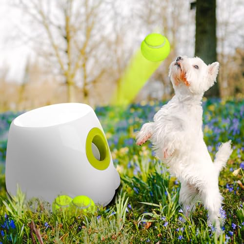ALL FOR PAWS Automatischer Ballwerfer, Hunde Ball Interaktive Ballwurfmaschine, Interaktiver Automatischer Hundeballwerfer für Kleine und Mittelgroße Hunde, Mini-Style in Weiß mit 3 Tennisbällen von ALL FOR PAWS