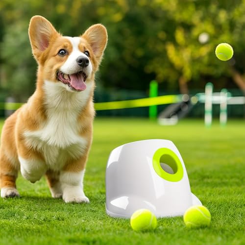 ALL FOR PAWS Automatischer Ballwerfer, Hunde Ball Interaktive Ballwurfmaschine, Interaktiver Automatischer Hundeballwerfer für Kleine und Mittelgroße Hunde, Mini-Style in Weiß mit 3 Tennisbällen von ALL FOR PAWS